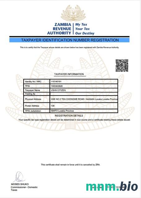 Zambia szablon Word i PDF rejestracji numeru identyfikacji podatkowej